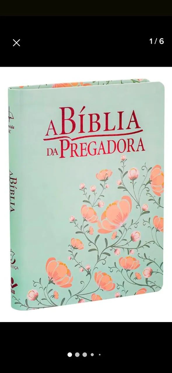 Biblia da pregadora