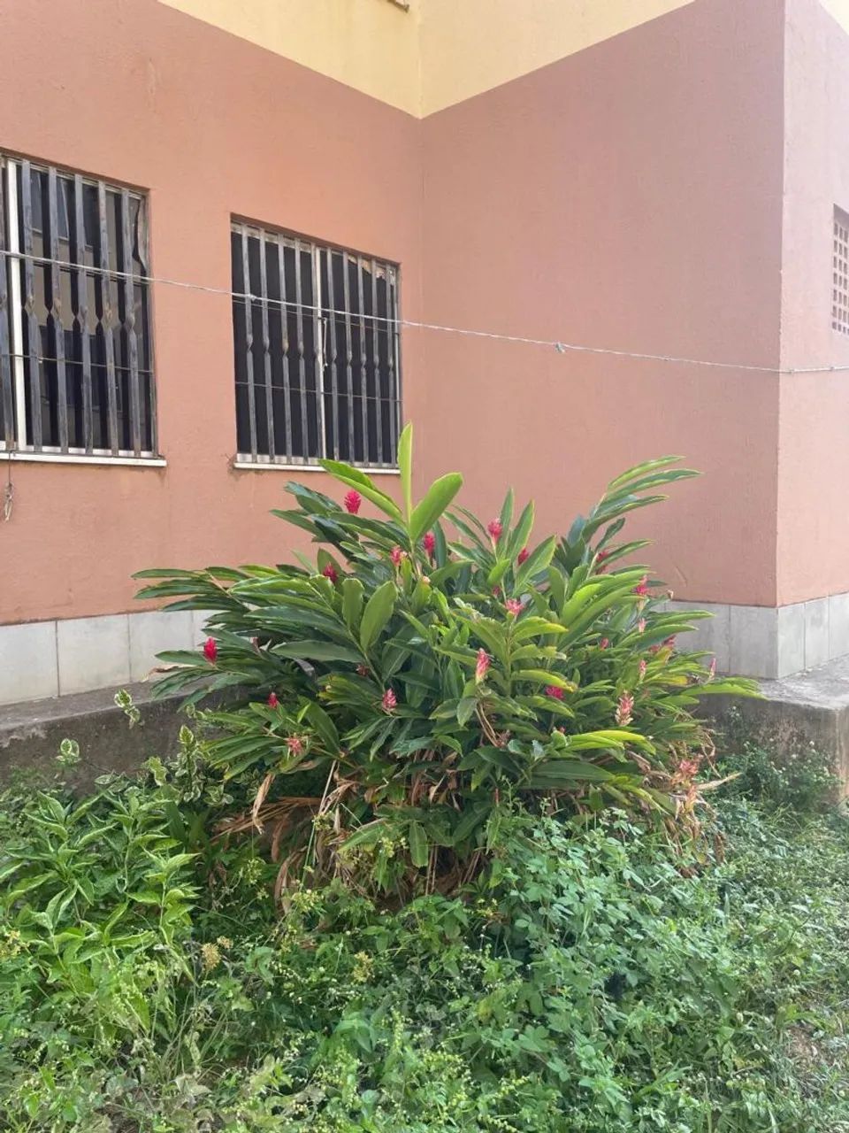 Condomínio Pintaqueira - Foto 2
