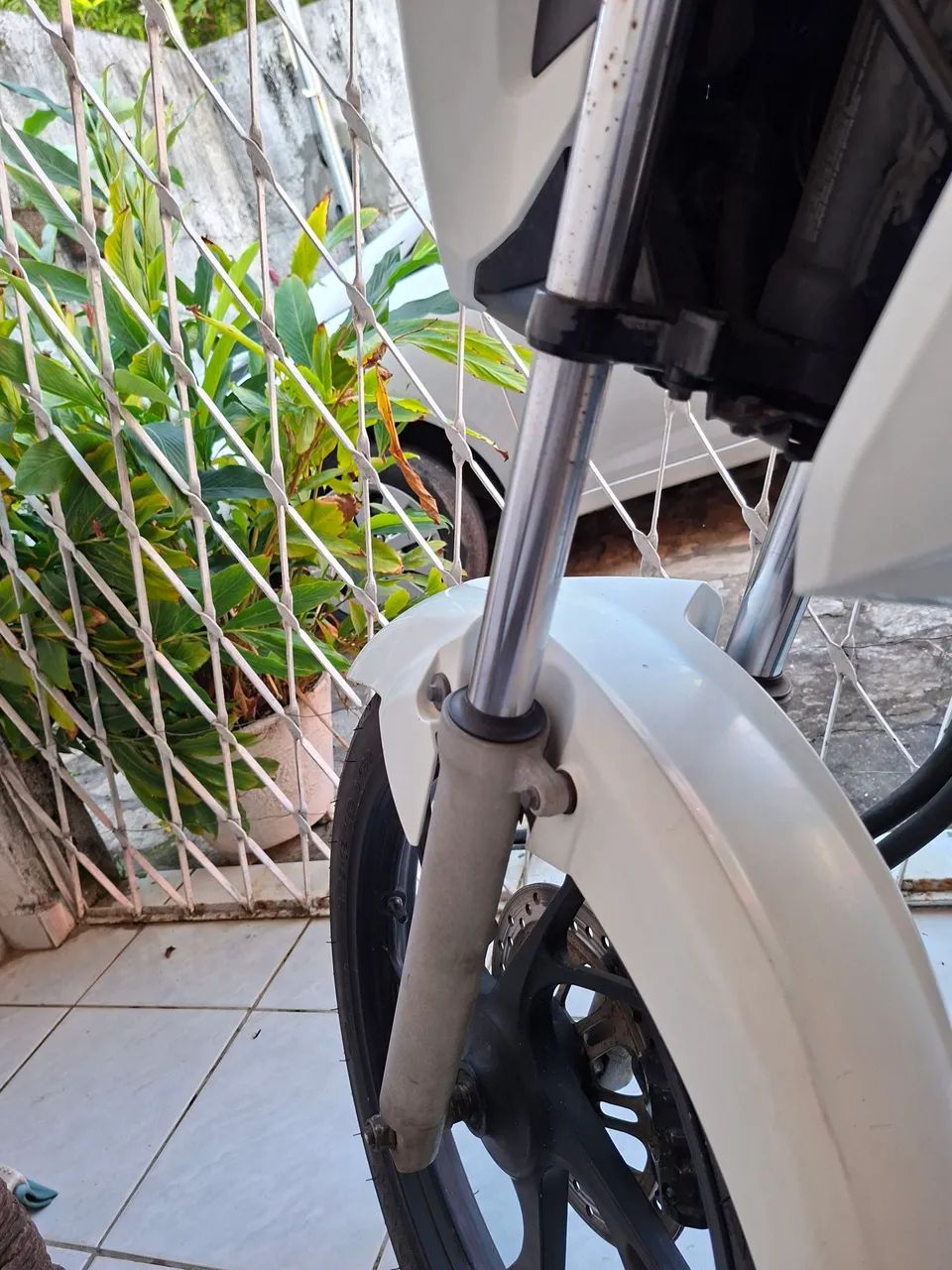 Honda cargo
