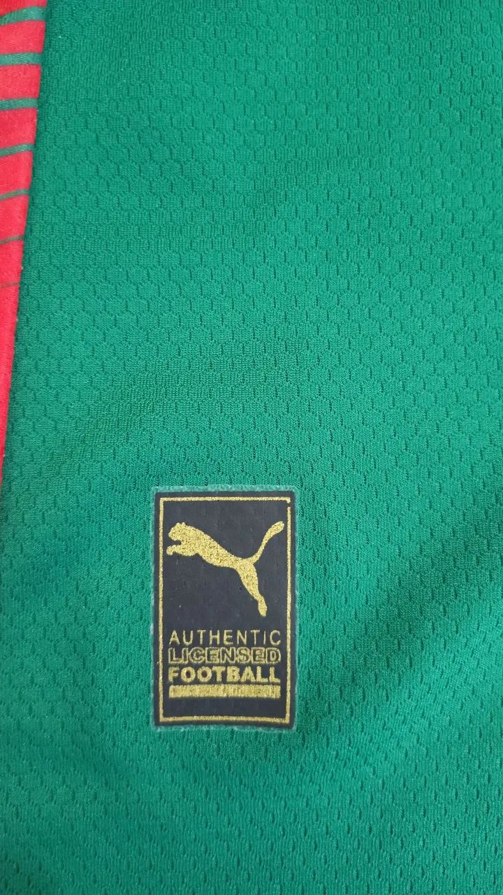 Camisa do Palmeiras Verde 2026 - Foto 4