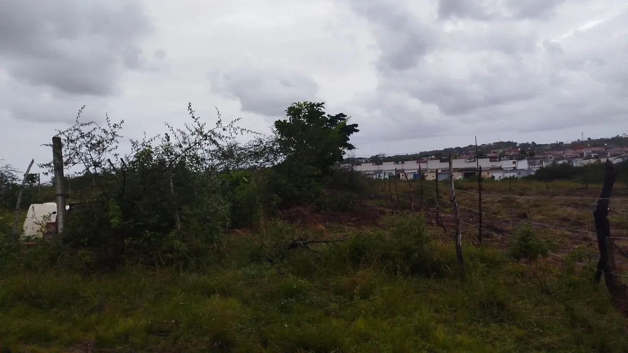 Terreno no início do Guajara  - Foto 2