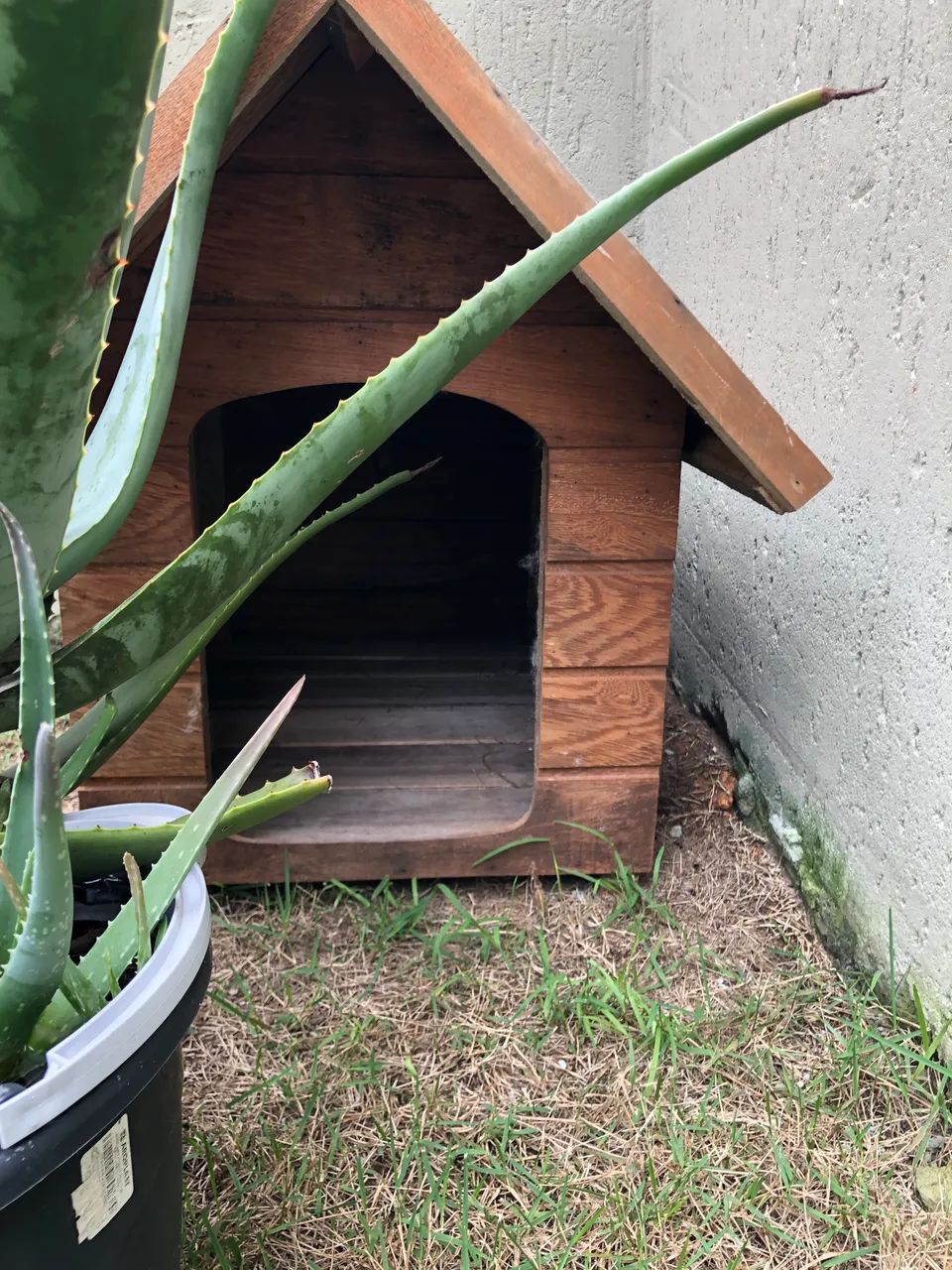 Casinha de cachorro - Foto 3