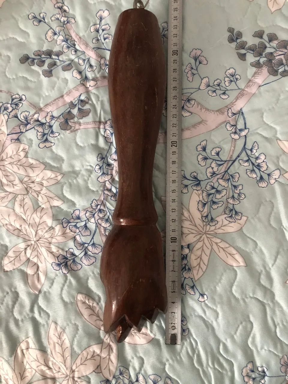 FIGA EM JACARANDÁ  - Foto 2