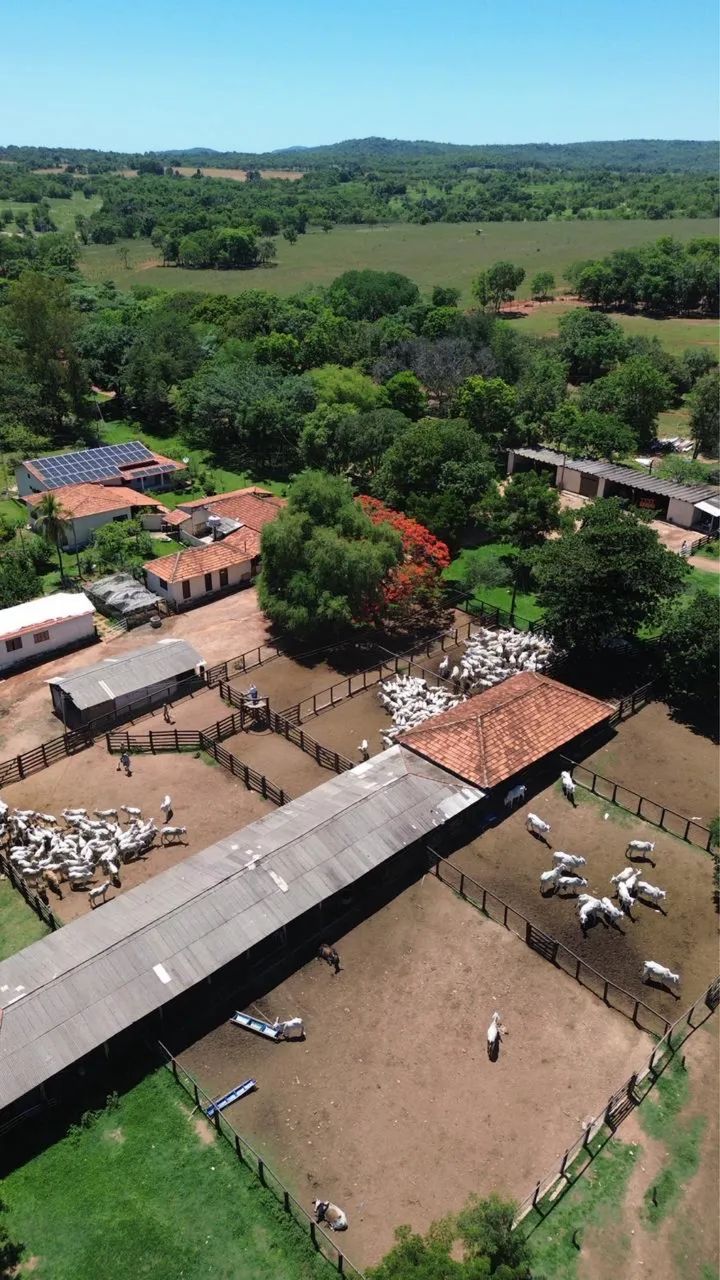 Fazenda Em Jaupaci/goias 