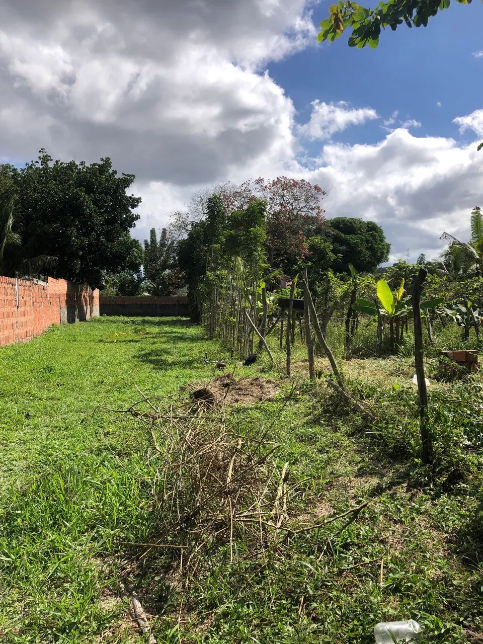 Terreno bom e barato  - Foto 2