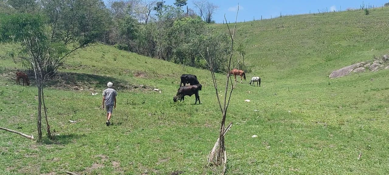 Sítio Terra Boa  - Foto 3
