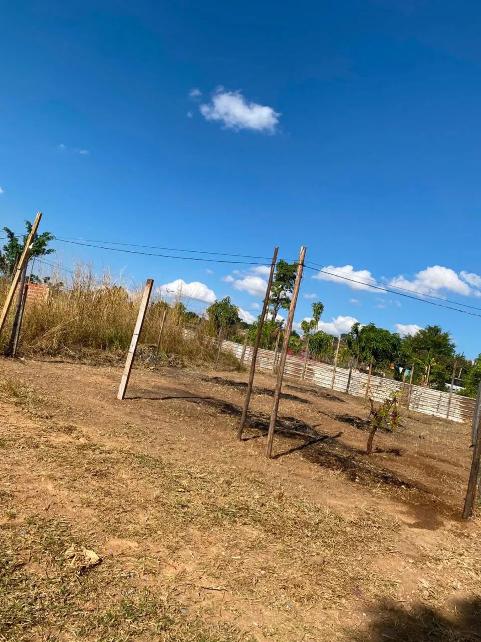 Vendo lote na 623 samambaia norte 