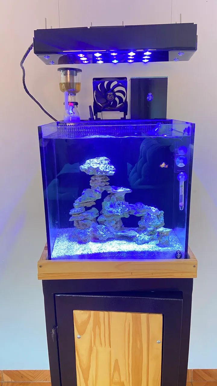 Aquario Marinho 64 litros