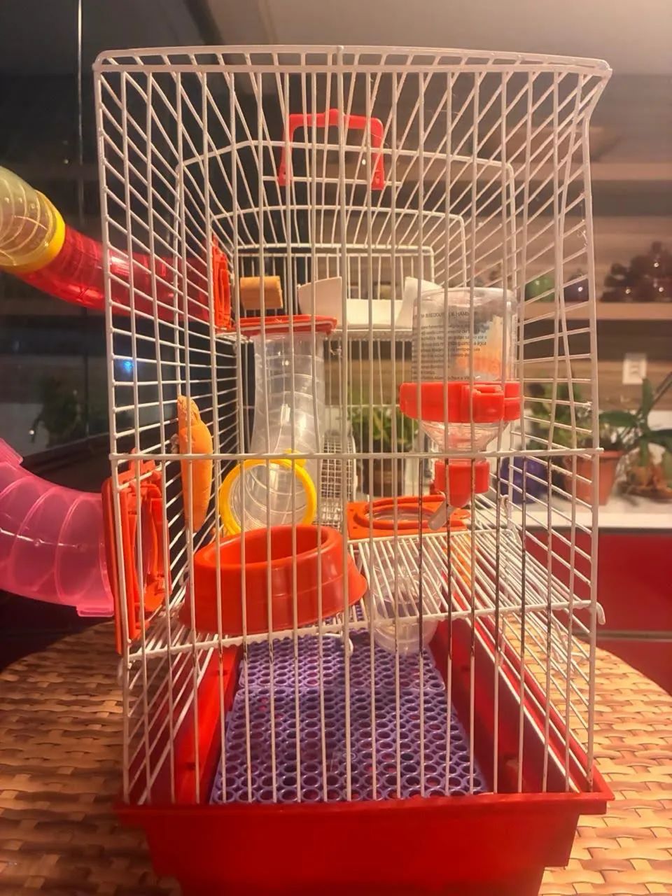 Gaiola  - Foto 2