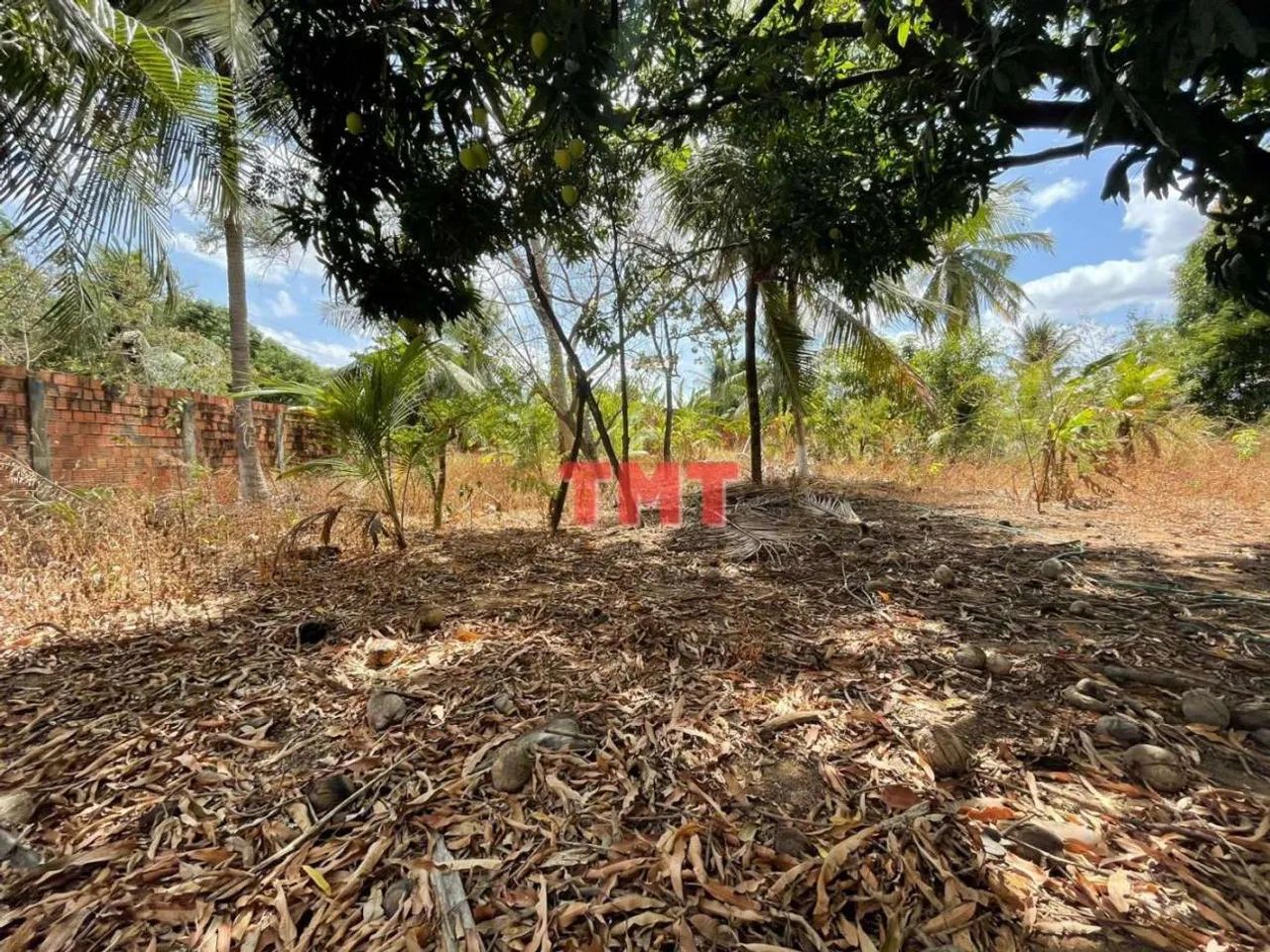 Sítio para Venda em Maranguape, Mucunã, 8 dormitórios, 6 suítes, 6 banheiros - Foto 3