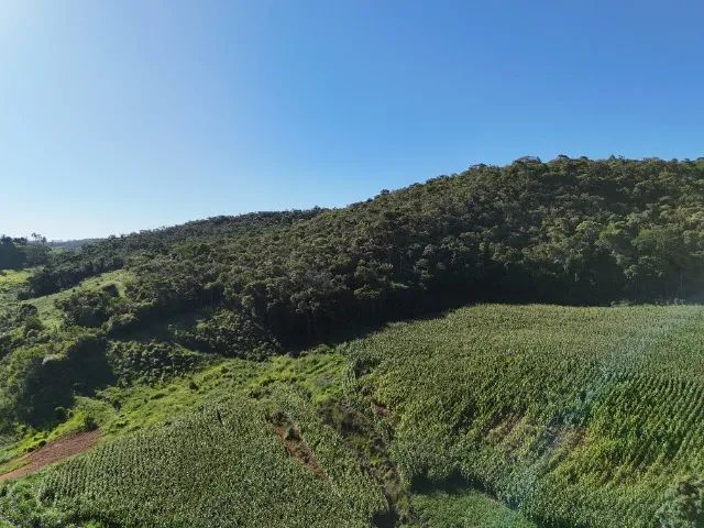 Terreno Duas Barras - Área total 2,5 hectares - Foto 2