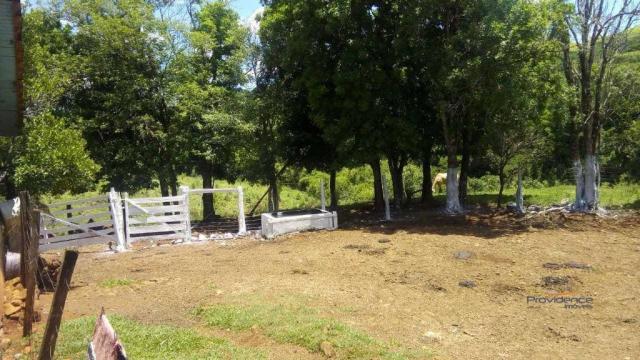 Fazenda à venda, 2541000 m² por r$ 3.675.000 - fazenda velha - nova laranjeiras/pr - Foto 10