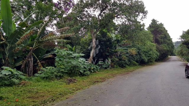 Terreno à venda em Jardim sao jorge, Arujá cod:254 - Foto 4