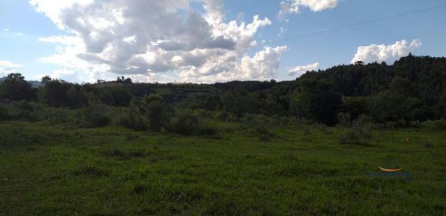 Fazenda à venda, 968000 m² por r$ 2.000.000,00 - fazenda velha - nova laranjeiras/pr - Foto 12