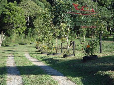 Chácara rural à venda, campo largo da roseira, são josé dos pinhais - ch0026. - Foto 14
