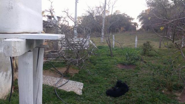 Sítio rural à venda, zona rural, quitandinha. - Foto 7