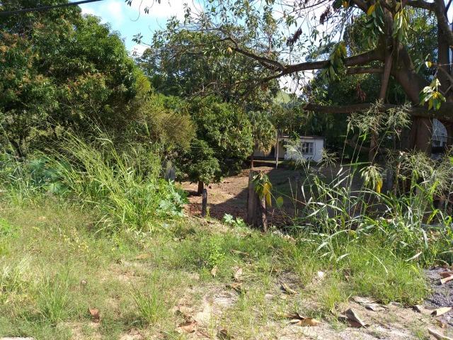 Área comercial e residencial - Foto 6