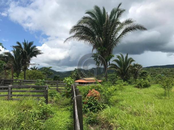Sítio 80 ha santo antonio do leverger - Foto 5