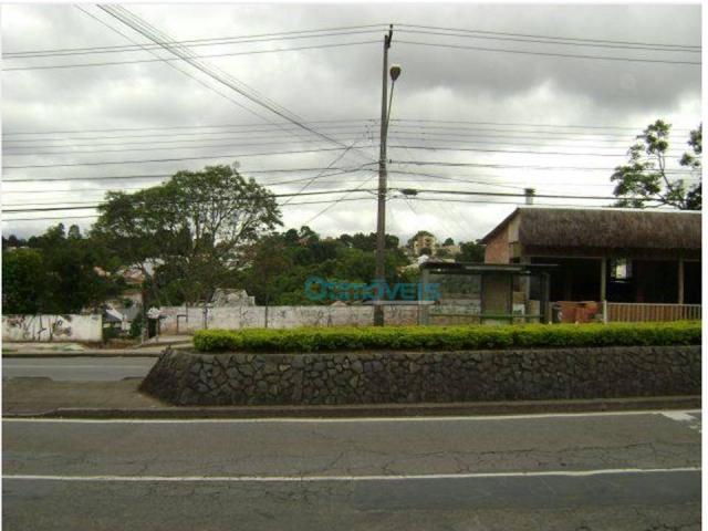 Terreno comercial na avenida manoel ribas - Foto 2