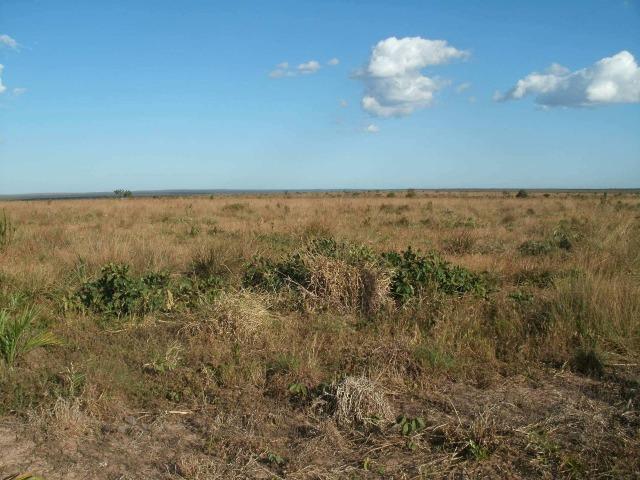 3200 Hectares,Pecuária,Lavoura,Frutífera,Faço Permuta,Conquista Doeste-MT, - Foto 7