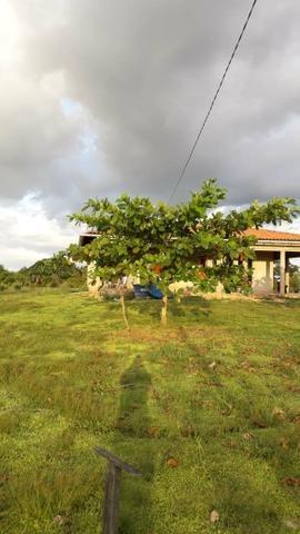 Sítio com 4,5 hectares, situado na cidade de Arari-MA - Foto 8
