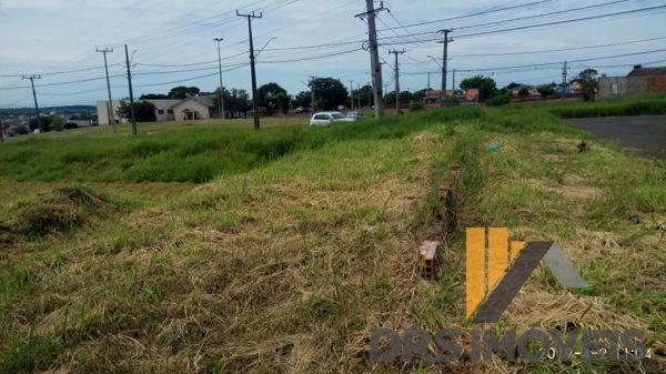 Terreno em rua - Bairro Conjunto Habitacional Alexandre Urbanas em Londrina - Foto 4
