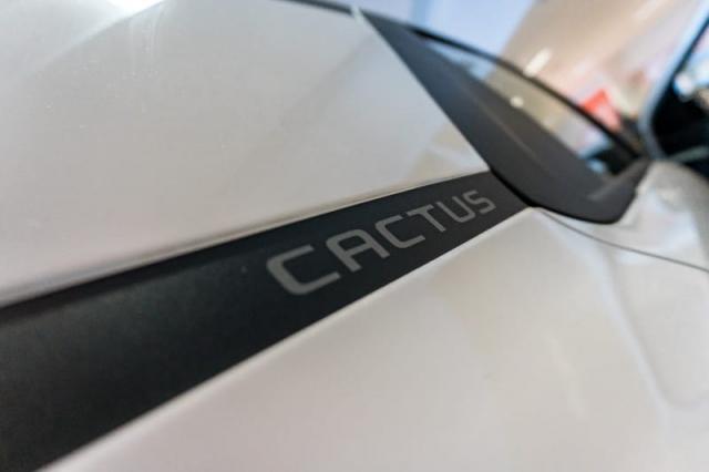 Citroen C4 Cactus 1.6 Feel Mec 19/20 2020 Flex - Foto 8