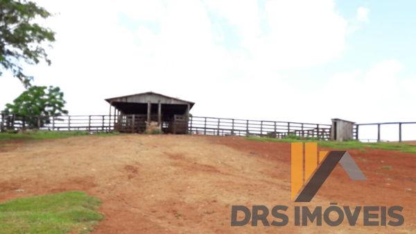 Rural sitio - Bairro Centro em Pitanga - Foto 5