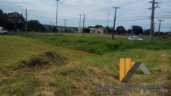 Terreno em rua - Bairro Conjunto Habitacional Alexandre Urbanas em Londrina