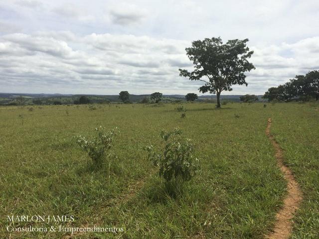 Fazenda no Município de Ipameri-Go - Foto 10
