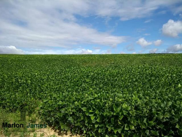 Fazenda em Vianópolis-Go - Foto 8