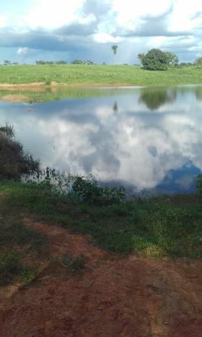 Área de Terra com 75 hectares - Foto 3