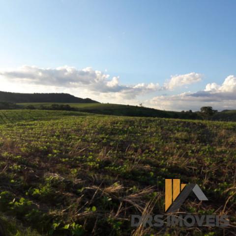 Rural sitio - Bairro Centro em Pitanga - Foto 15