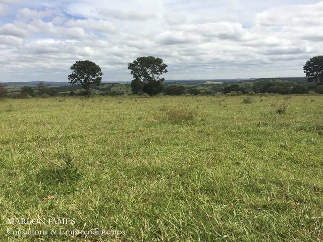 Fazenda no Município de Ipameri-Go