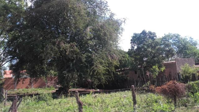Terreno em Ladário