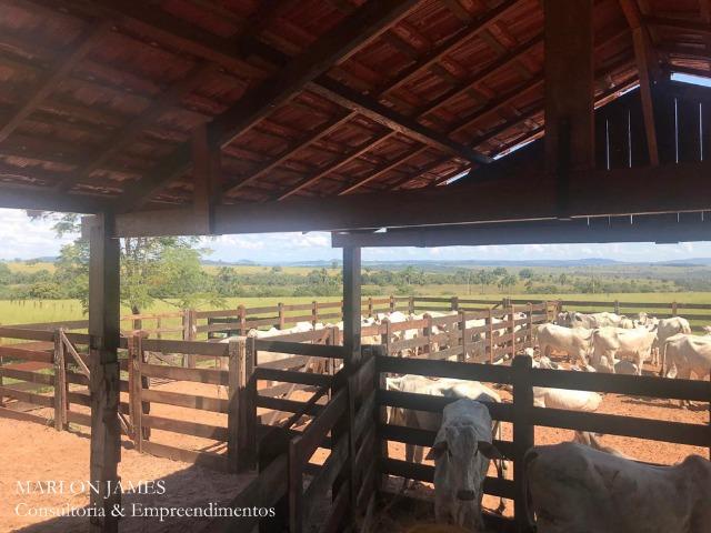 Fazenda em Caiapônia-Go - Foto 5