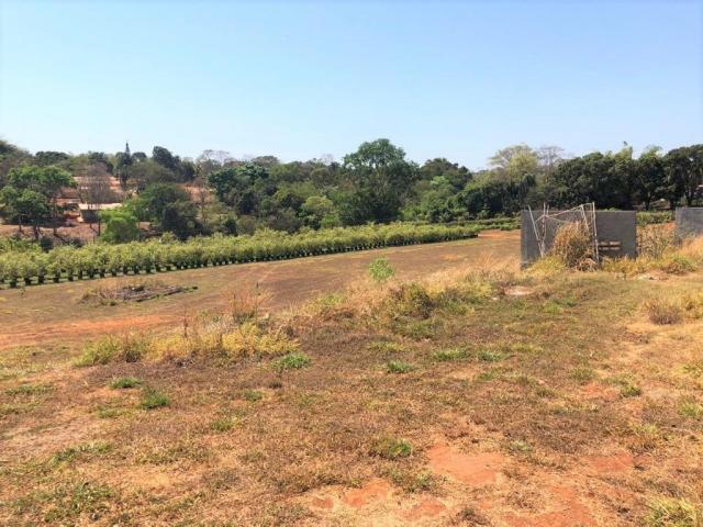 Vende-se Área em Goianira - Foto 2
