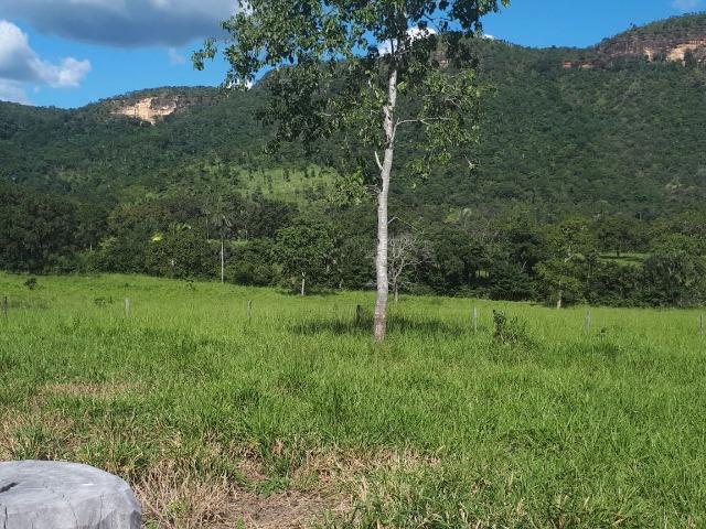 Sítio Palmas