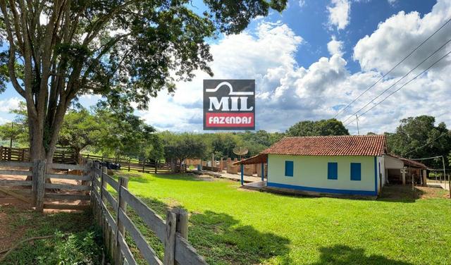 Fazenda 25 Alqueires ( 121ha) Hidrolândia-GO