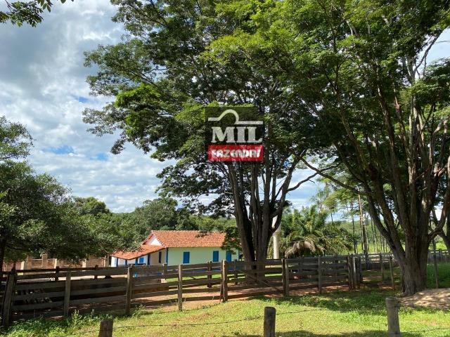 Fazenda 25 Alqueires ( 121ha) Hidrolândia-GO - Foto 18