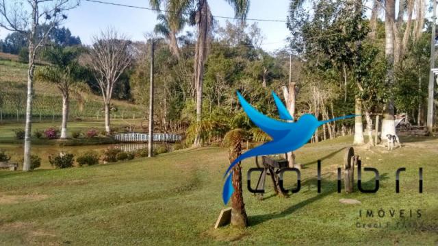 Linda Chácara pronta para morar ou lazer em Agudos do Sul - Foto 8