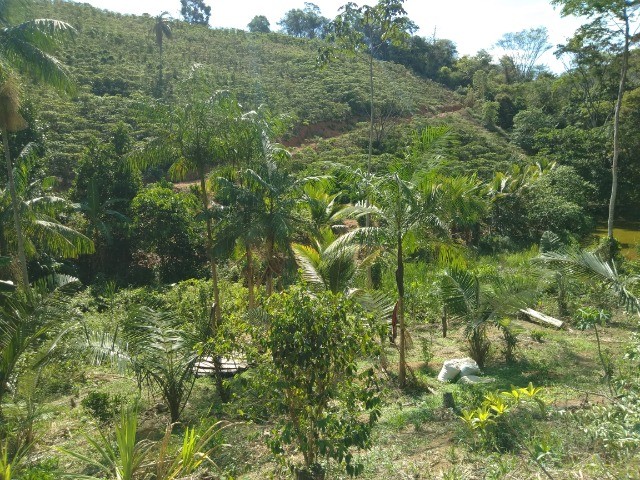 Terreno em Afonso Cláudio