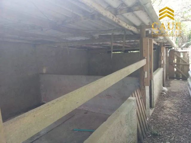 Sítio de 2 hectares com casa de 6 dormitórios. - Foto 7