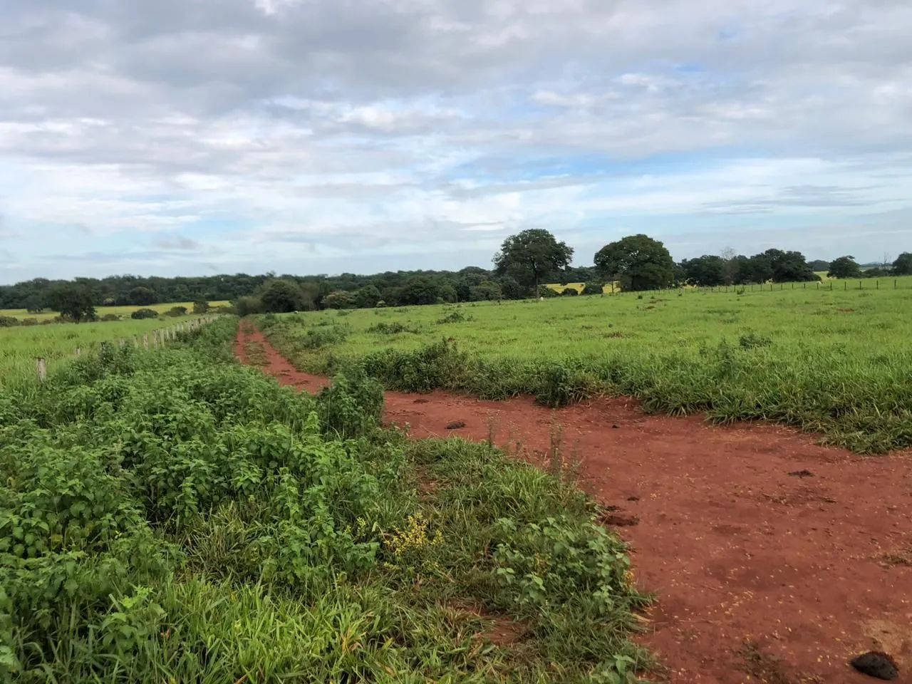 Chacara em santa barbara go - Foto 11