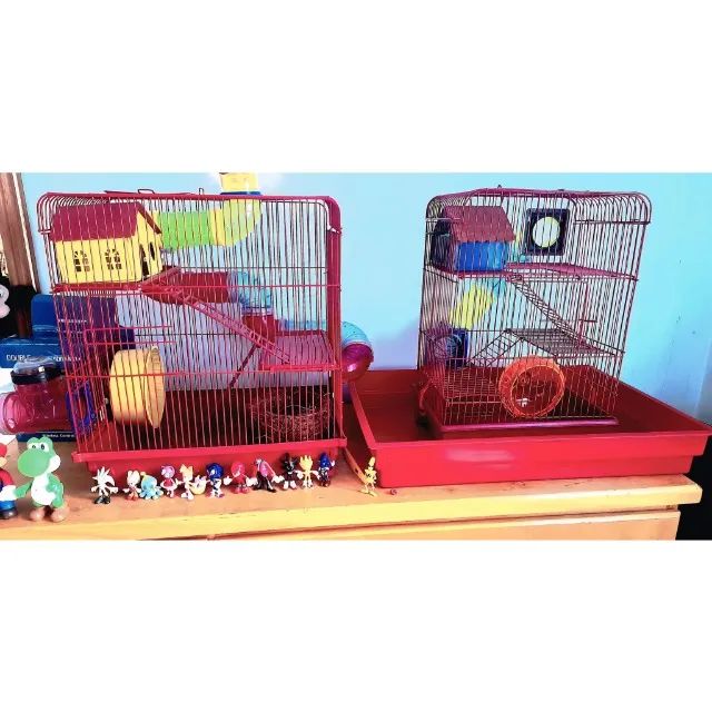 2 Gaiolas grande para Hasmter e Porquinho da Índia  - Foto 2