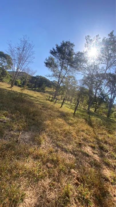 Fazenda município de Cocalzinho-go - Foto 3