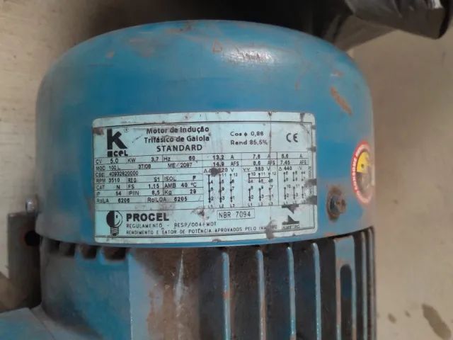 Motor de Indução Trifásico de Gaiola