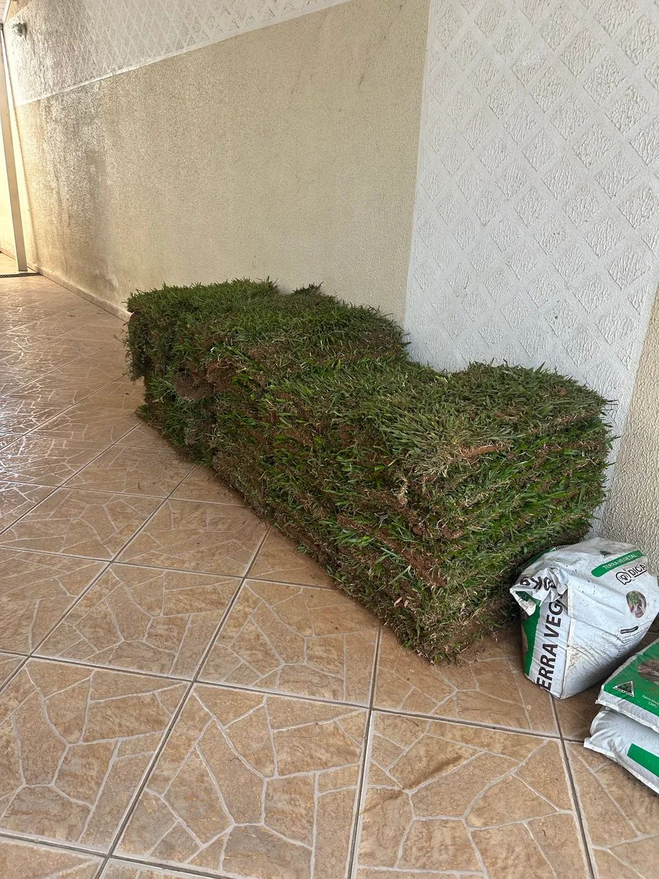 Grama São Carlos Nova - Em placas - 25m de grama