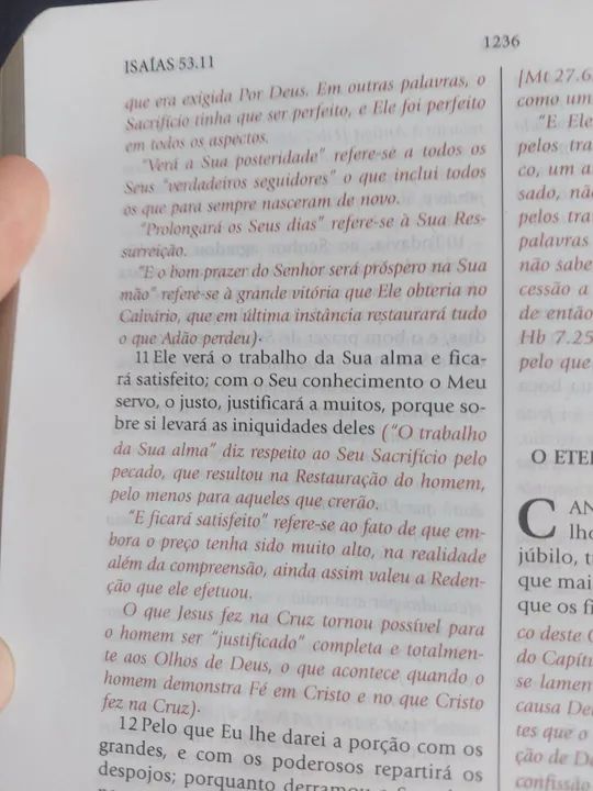 Bíblia de Estudo do Expositor - Jimmy Swaggaart - Foto 3