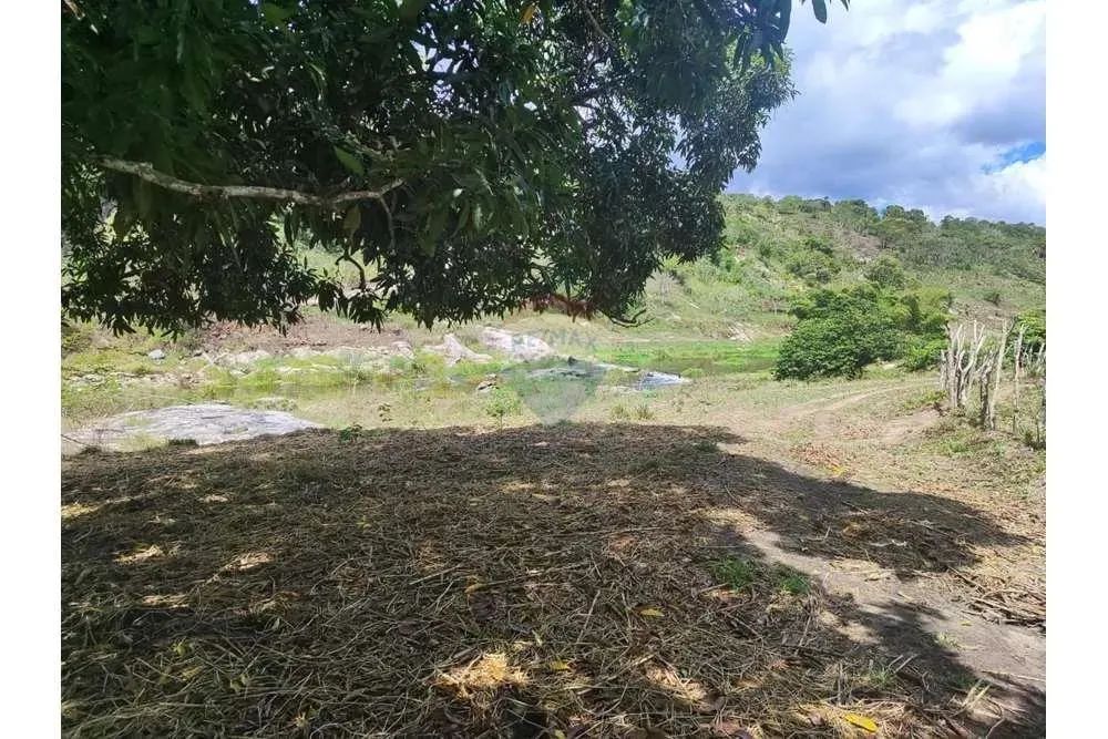Fazenda à Venda em São Joaquim do Monte - PE! Uma Oportunidade de Investimento Rural Privi - Foto 2